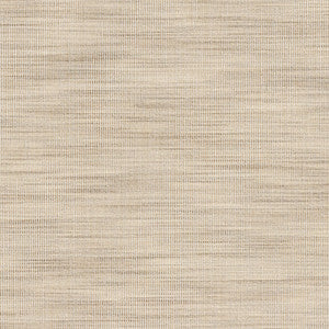 Adair 2 Raffia by Stout Designer Fabric