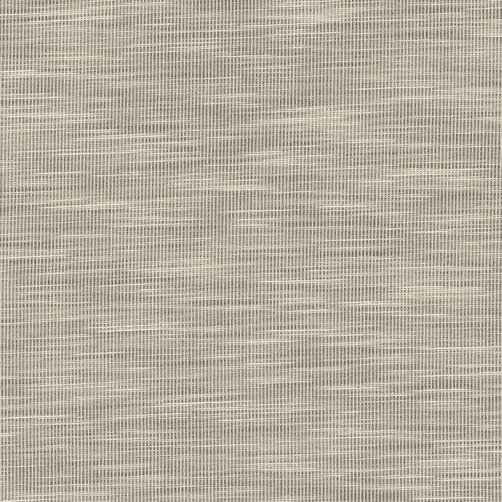 Adair 3 Graphite by Stout Fabric Stout Fabric Adair 3 GraphiteFabric COLOR MY WINDOW PEWTER/TAUPE 100%POL INDIA </p><p>Repeat: H: 0.000, V: 0.000 54.5 in - Fabric Carolina -