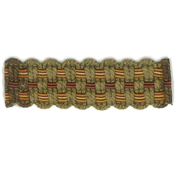Adapt 39 Autumn by Stout Designer Trim ART OF DESIGN TRIM-2 TAPES 100%SVI CHINA Horizontal: 0.000 and Vertical: 0.000 0.88 in - Swanky Fabrics -