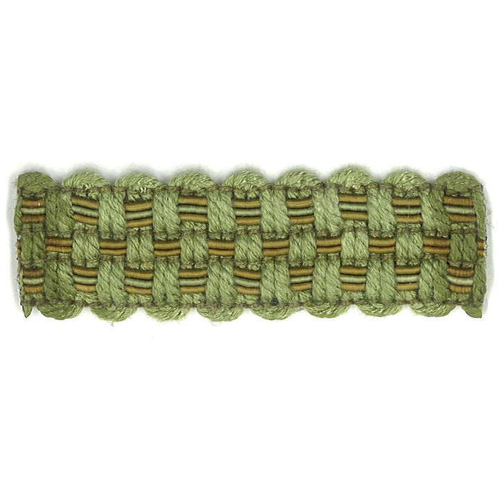 Adapt 5 Leaf by Stout Trim Stout Trim Adapt 5 LeafTrim ART OF DESIGN TRIM-2 TAPES 100%SVI CHINA </p><p>Repeat: H: 0.000, V: 0.000 0.88 in - Fabric Carolina -