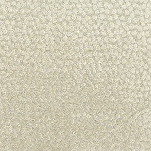 Address 1 Dove by Stout Designer Fabric