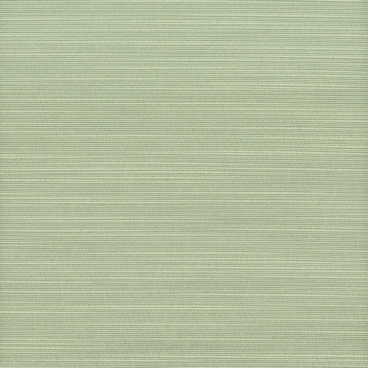 Admire 12 Sage by Stout Designer Fabric SATIN SPLENDOR 100%POL INDIA FLAME RETARDANT-N.F.P.A. 701 SMALL SCALE MARTINDALE WEAR TEST (15 000 CIRCULAR RUBS) Horizontal: 0 and Vertical: 0 55 in - Swanky Fabrics -