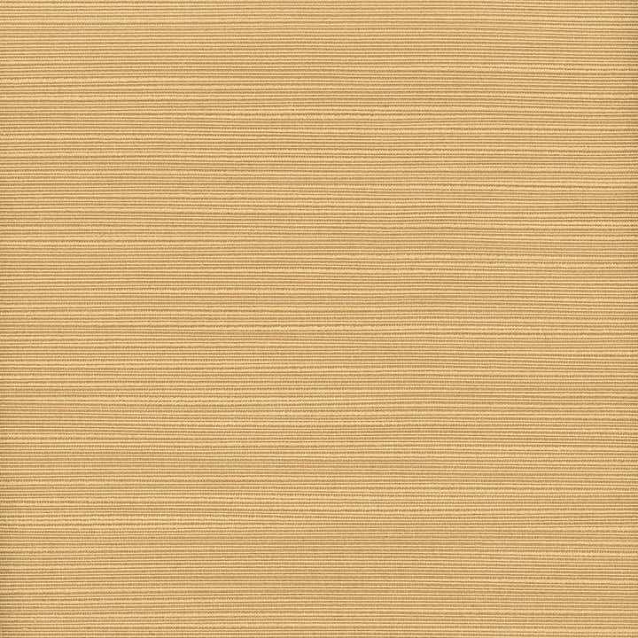 Admire 27 Lion by Stout Fabric Stout Fabric Admire 27 LionFabric SATIN SPLENDOR 100%POL INDIA </p><p>Repeat: H: 0.000, V: 0.000 55 in - Fabric Carolina -