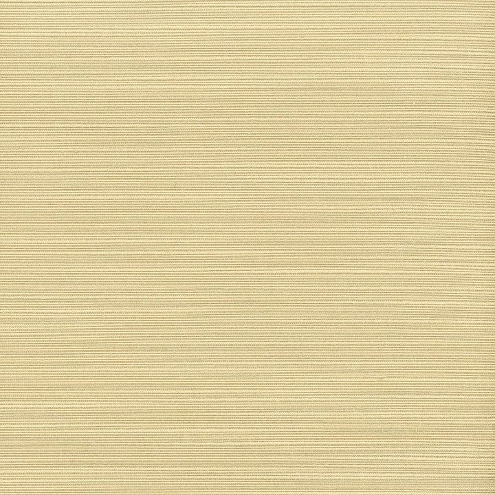 Admire 35 Chardonnay by Stout Designer Fabric SATIN SPLENDOR 100%POL INDIA FLAME RETARDANT-N.F.P.A. 701 SMALL SCALE Horizontal: 0.000 and Vertical: 0.000 55 in - Swanky Fabrics -