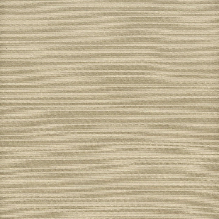 Admire 41 Driftwood by Stout Designer Fabric SATIN SPLENDOR 100%POL INDIA Horizontal: 0.000 and Vertical: 0.000 55 in - Swanky Fabrics -