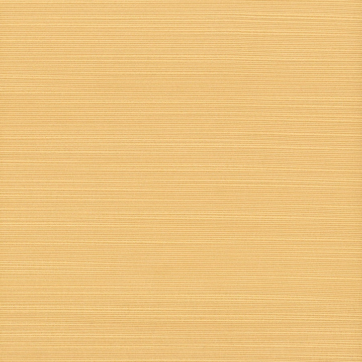 Admire 44 Butterscotch by Stout Fabric Stout Fabric Admire 44 ButterscotchFabric SATIN SPLENDOR INDIA </p><p>Repeat: H: 0.000, V: 0.000 55 in - Fabric Carolina -