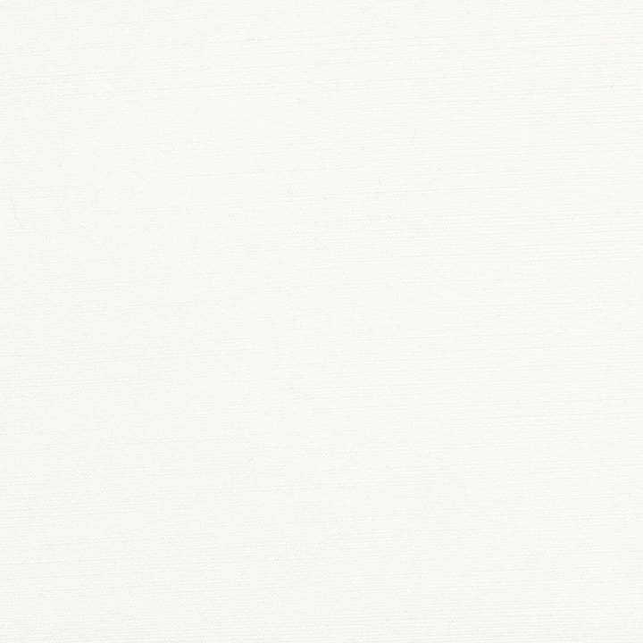 Admire 4 Snow by Stout Designer Fabric SATIN SPLENDOR 100%POL INDIA FLAME RETARDANT-U.F.A.C. CLASS 1 CATB 117-2013 WYZENBEEK 55 000 DOUBLE WEAR TEST (HEAVY DUTY) Horizontal: 0.000 and Vertical: 0.000 55 in - Swanky Fabrics -