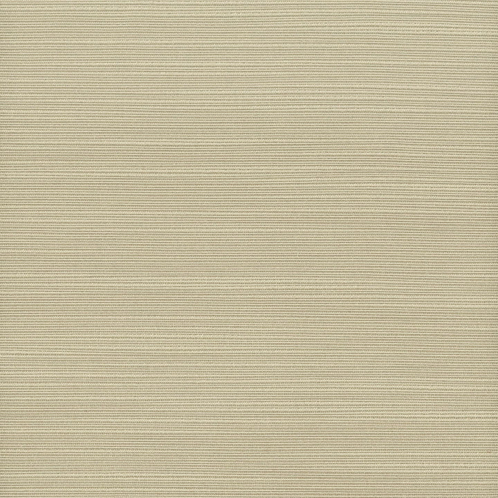 Admire 5 Hemp by Stout Fabric Stout Fabric Admire 5 HempFabric SATIN SPLENDOR INDIA </p><p>Repeat: H: 0.000, V: 0.000 55 in - Fabric Carolina -