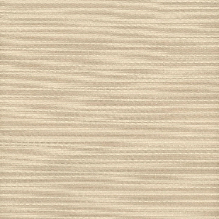 Admire 7 Sandstone by Stout Designer Fabric SATIN SPLENDOR 100%POL INDIA CATB 117-2013 WYZENBEEK 20 000 DOUBLE RUB WEAR TEST (HEAVY DUTY) Horizontal: 0.000 and Vertical: 0.000 55 in - Swanky Fabrics -