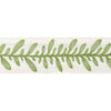 Calathea Tape Spring AE12323 by Thibaut Designer Trim