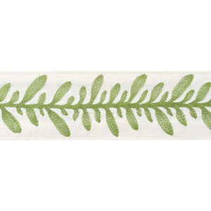 Calathea Tape Spring AE12323 by Thibaut Designer Trim