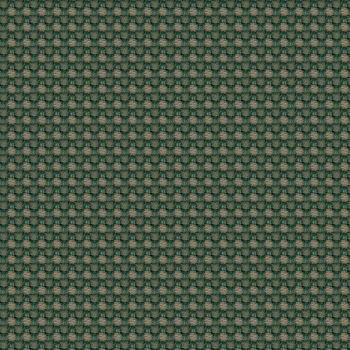 Aerotex 2008 Cactus by ABBEYSHEA Designer Fabric N/A 100% Polyvinyl Chloride (PVC) China 30,000 Double Rubs </p><p>Repeat: Horizontal: and Vertical: 54" (137 cm) - Swanky Fabrics -