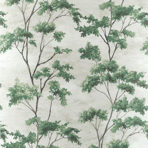 Dalton Green AF16169 by Thibaut Designer Fabric