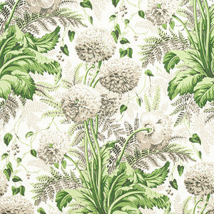 Dahlia Spring on White AF24538 by Anna French Designer Fabric