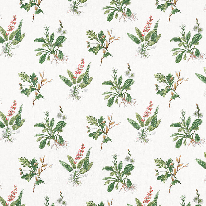 Woodland Green and Blush AF57852 by Anna French Fabric Anna French Fabric Woodland Green and Blush AF57852Fabric Bristol Fabric Book 100% Linen UNITED STATES </p><p>Repeat: V: 21.5 52.5 - Fabric Carolina -
