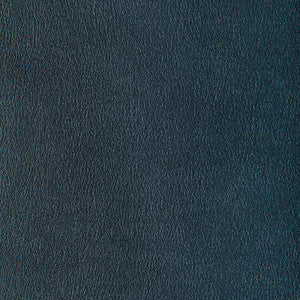 Agatha Mercury AGATHA.15.0 By Kravet Contract Designer Fabric