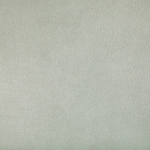 Agatha Pearl AGATHA.1.0 By Kravet Contract Designer Fabric