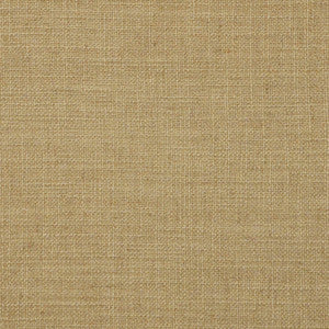 Atlantic City # 67 Capybara by Maxwell Designer Fabric