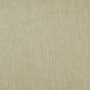 Absolute # 069 Driftwood by Maxwell Designer Fabric