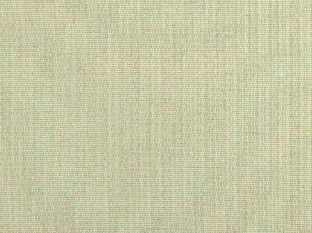 Aiden 130 Natural by Covington Designer Fabric