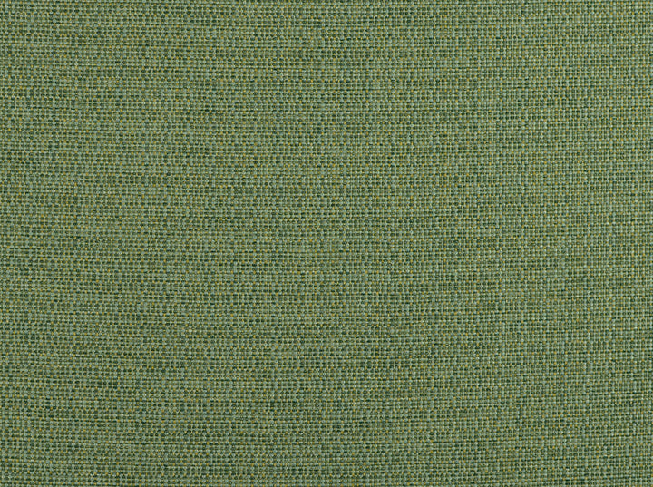 Aiden Seagrass 220 by Covington Designer Fabric 100% POLYPROPYLENE USA 3000 Horizontal: 0 and Vertical: 0 54 - Swanky Fabrics -