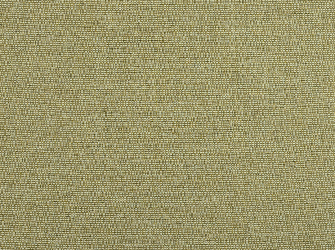 Aiden 28 Verde by Covington Designer Fabric