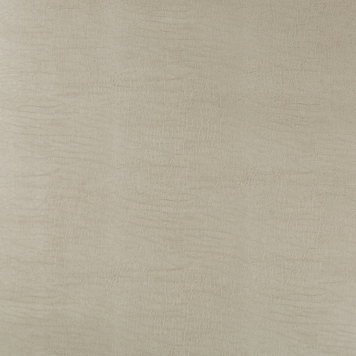 Aladar-11 by Kravet Design Designer Fabric POLYURETHANE - 50%;SILICONE - 50% China HEAVY Horizontal: 0 and Vertical: 0 54 - Swanky Fabrics -