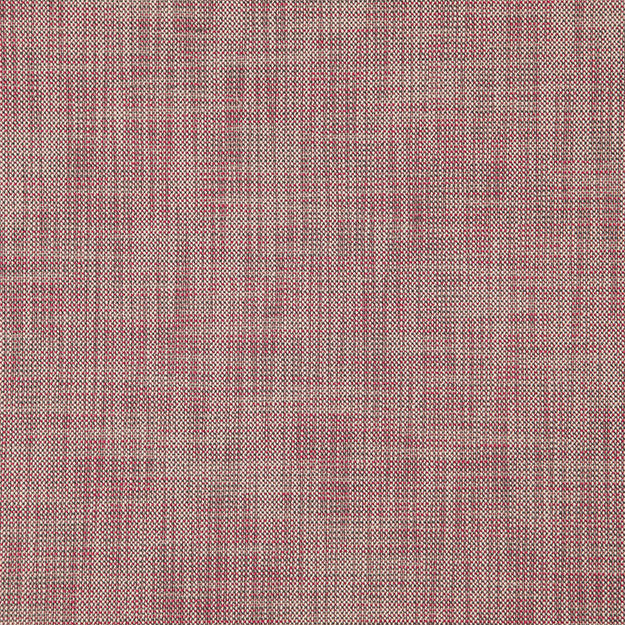 ALASTOR 42J7851 by JF Designer Fabric ALASTOR 100% Polyester INDIA ABRASIO (HEAVY DUTY- 30,000+ DOUBLE RUBS) Horizontal: N/A and Vertical: N/A 55.00 - Swanky Fabrics -