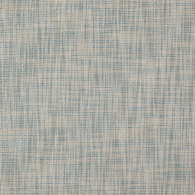 ALASTOR 62J7851 by JF Designer Fabric ALASTOR 100% Polyester INDIA ABRASIO (HEAVY DUTY- 30,000+ DOUBLE RUBS) Horizontal: N/A and Vertical: N/A 55.00 - Swanky Fabrics -