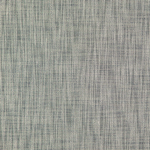 ALASTOR 64J7851 by JF Designer Fabric ALASTOR 100% Polyester INDIA ABRASIO (HEAVY DUTY- 30,000+ DOUBLE RUBS) Horizontal: N/A and Vertical: N/A 55.00 - Swanky Fabrics -