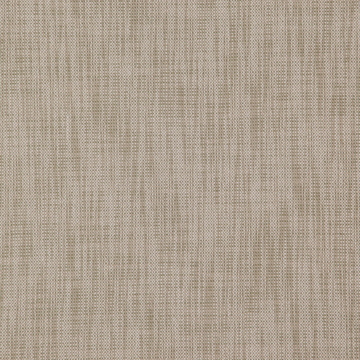 Alastor 71J7851 by JF Designer Fabric Alastor 100% Polyester India 180000 Horizontal: and Vertical: 55 - Swanky Fabrics -