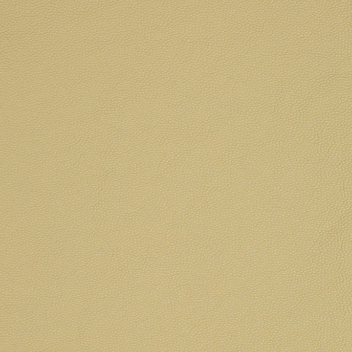 Aldwin-16 by Kravet Smart Designer Fabric PVC - ARTIFICIAL LEATHER - 65%;POLYESTER - 35% United States HEAVY Horizontal: and Vertical: 54 - Swanky Fabrics -
