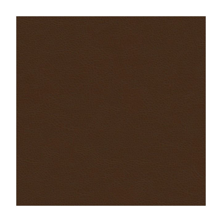 Aldwin-66 by Kravet Smart Designer Fabric - PVC - ARTIFICIAL LEATHER - 65%;POLYESTER - 35% United States HEAVY Horizontal: - and Vertical: - 54 - Swanky Fabrics -