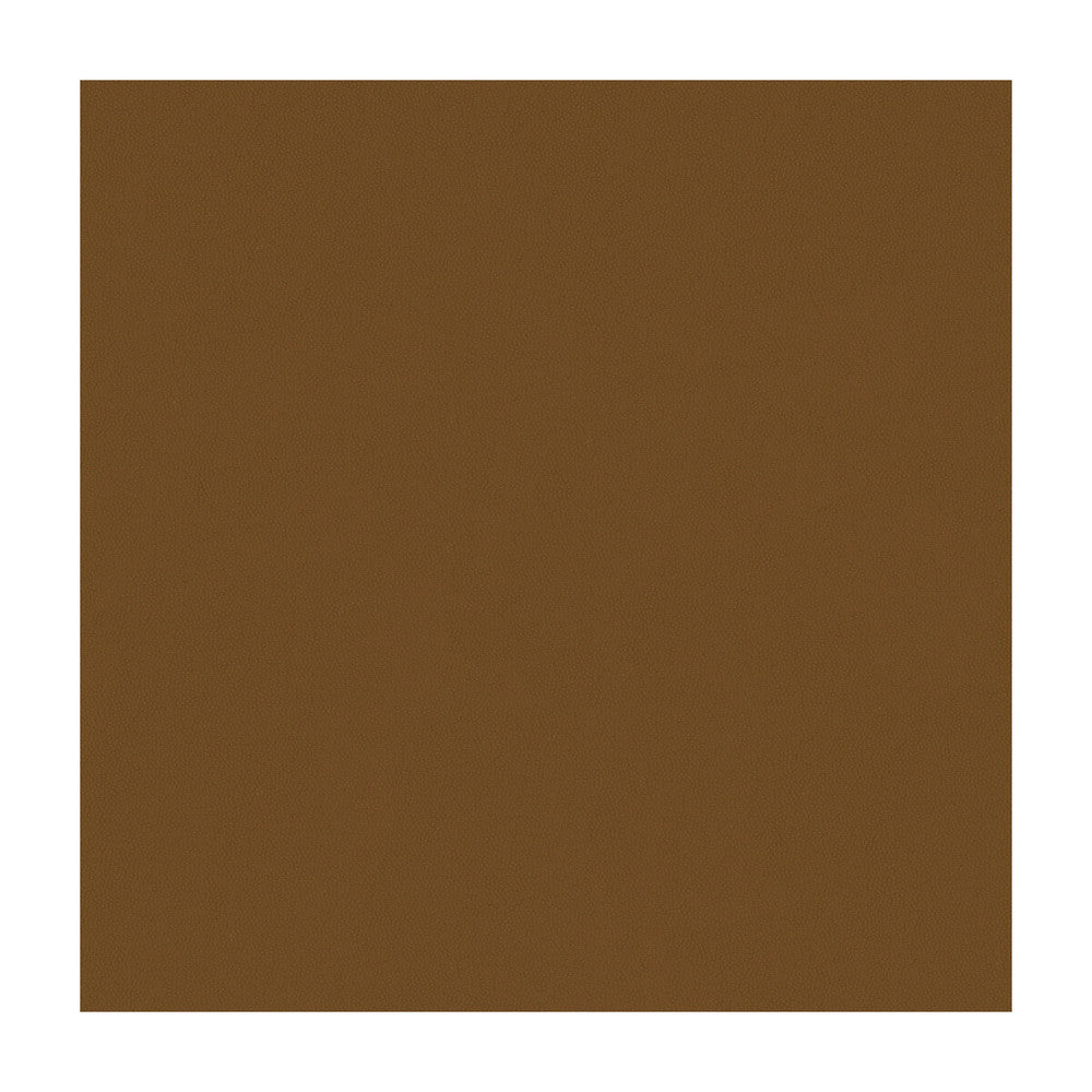 Aldwin-6 by Kravet Smart Designer Fabric - PVC - ARTIFICIAL LEATHER - 65%;POLYESTER - 35% United States HEAVY Horizontal: - and Vertical: - 54 - Swanky Fabrics -