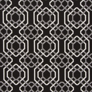 Alexandria Black-White by Bella-Dura Designer Fabric