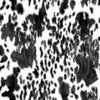 Alfred Pinto 01 by Norbar Designer Fabric