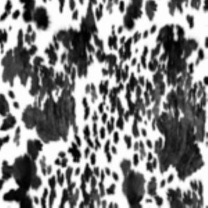 Alfred Pinto 01 by Norbar Designer Fabric