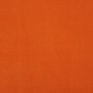 Algonquin 25J7031 by JF Crypton Designer Fabric