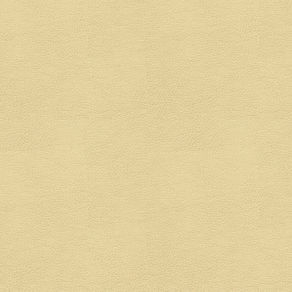 Baltra - Marble BALTRA.116.0 by Kravet Contract Designer Fabric