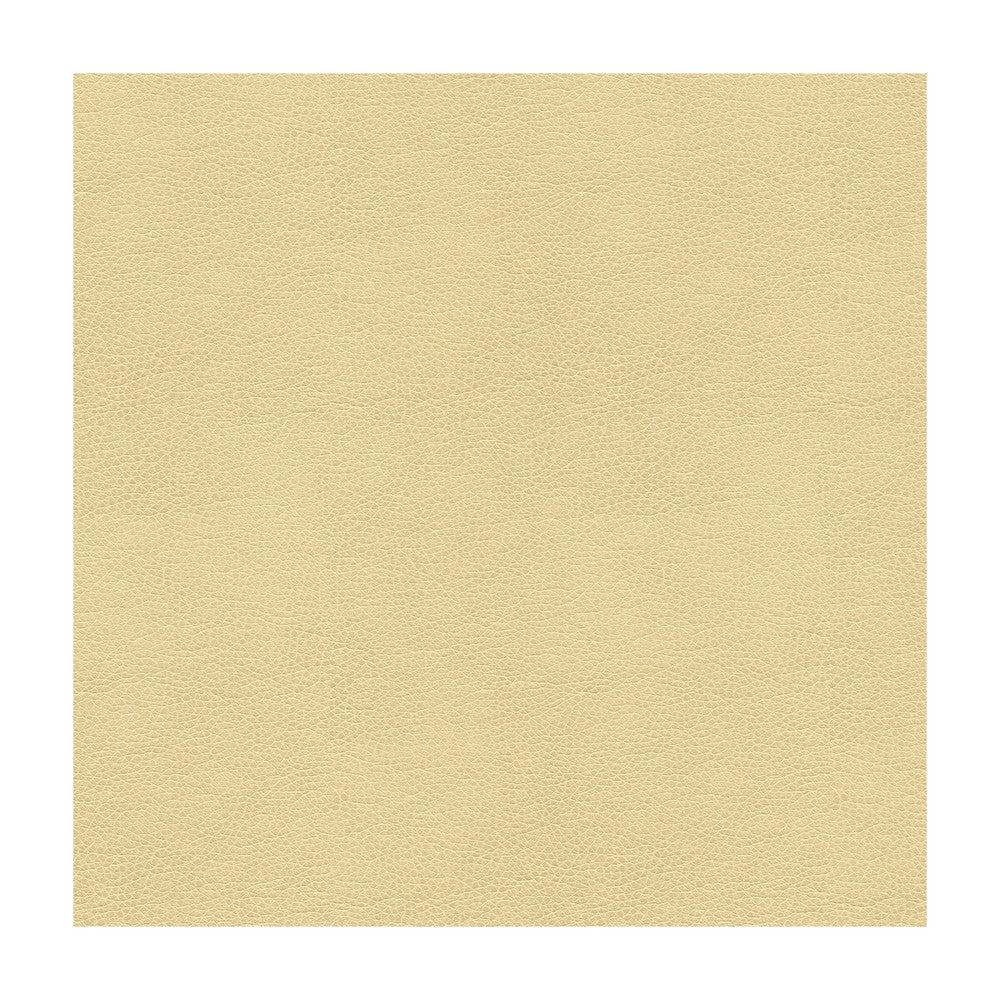 Alina-116 by Kravet Smart Designer Fabric - POLYURETHANE - 100% China HEAVY Horizontal: - and Vertical: - 55 - Swanky Fabrics -
