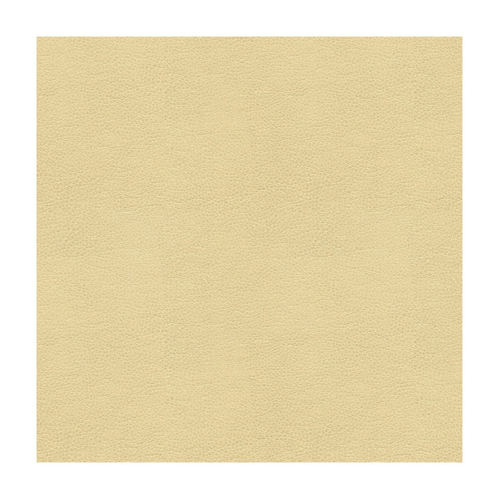 Alina-116 by Kravet Smart Designer Fabric POLYURETHANE - 100% China HEAVY Horizontal: and Vertical: 55 - Swanky Fabrics -