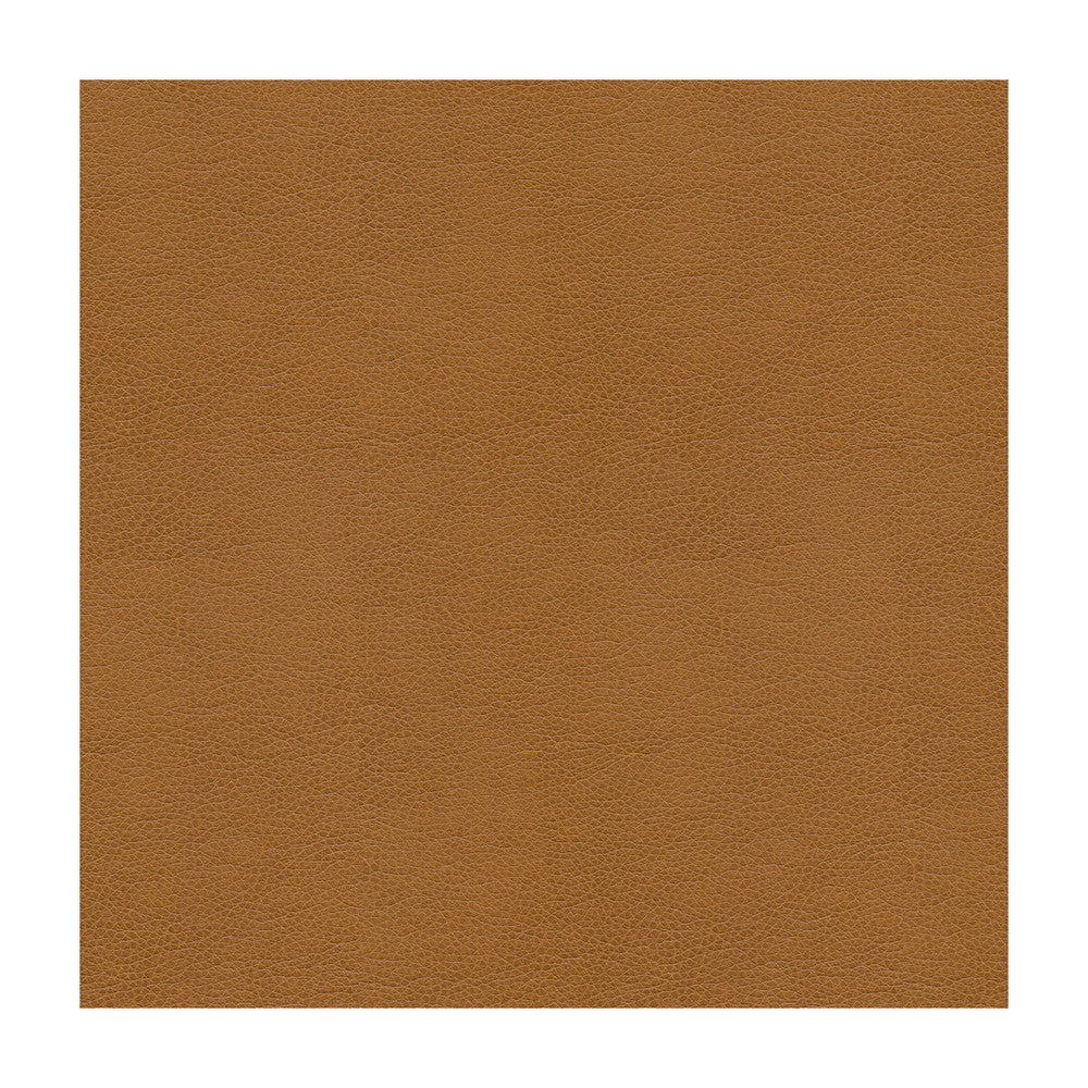 Alina-16 by Kravet Smart Designer Fabric POLYURETHANE - 100% China HEAVY Horizontal: and Vertical: 55 - Swanky Fabrics -
