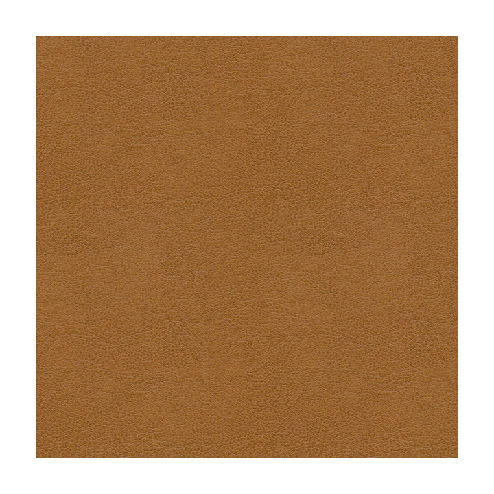 Alina-16 by Kravet Smart Designer Fabric POLYURETHANE - 100% China HEAVY Horizontal: and Vertical: 55 - Swanky Fabrics -