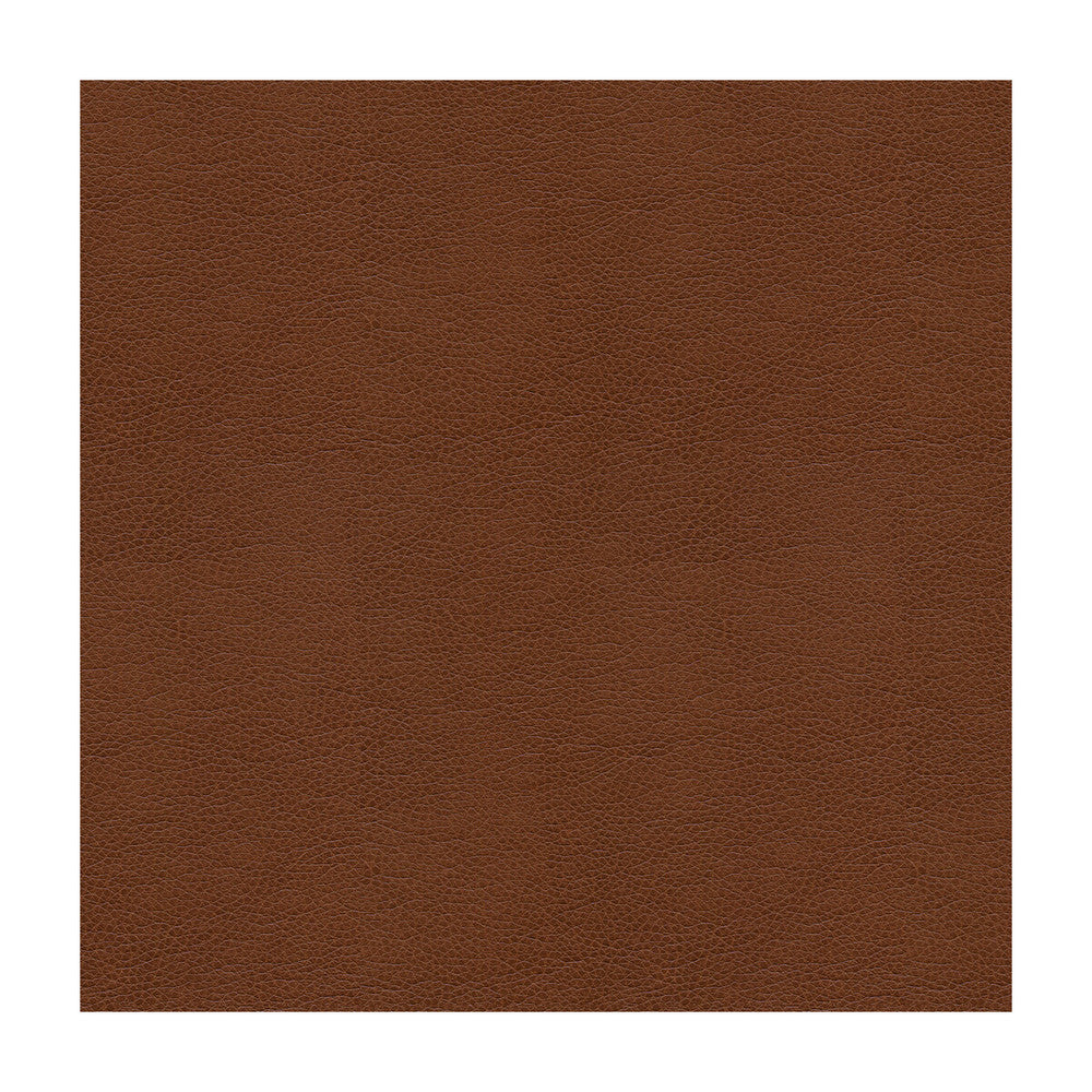 Alina-6 by Kravet Smart Designer Fabric POLYURETHANE - 100% China HEAVY Horizontal: and Vertical: 55 - Swanky Fabrics -