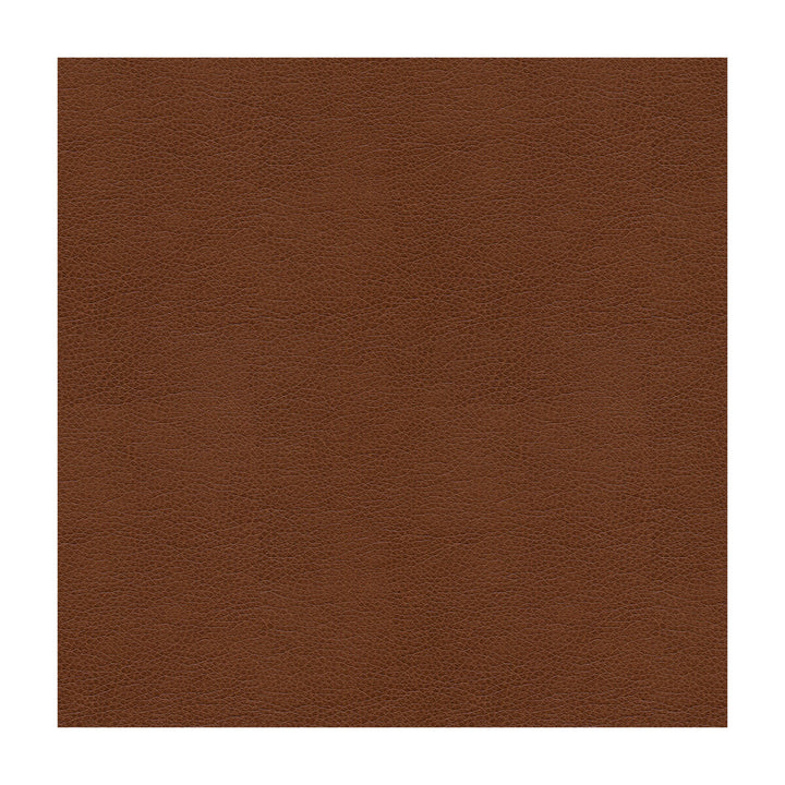 Alina-6 by Kravet Smart Designer Fabric POLYURETHANE - 100% China HEAVY Horizontal: and Vertical: 55 - Swanky Fabrics -