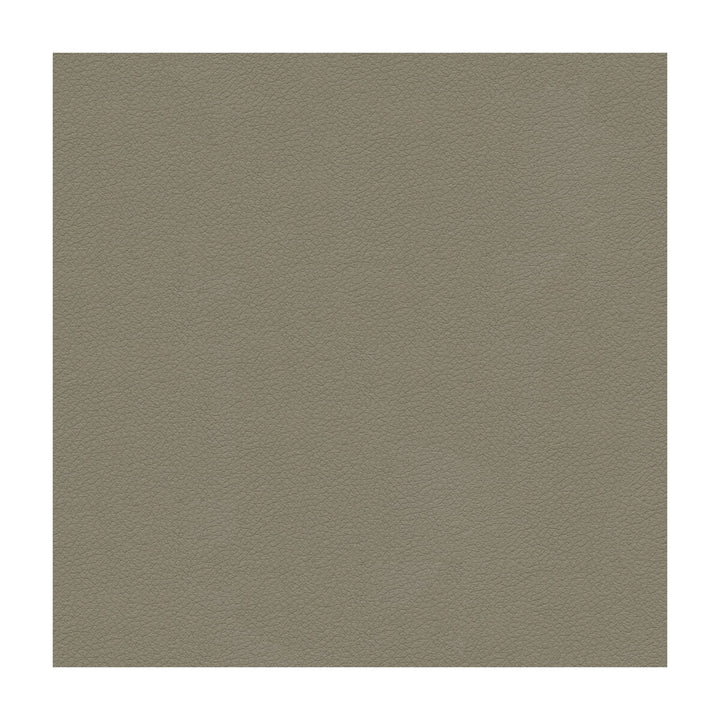 Kravet Design Ali-11 by Kravet Design Fabric Kravet Design Fabric Kravet Design Ali-11Fabric ULTRALEATHER PLUS IV POLYURETHANE - 100% Japan </p><p>Repeat: H: , V: 54 - Fabric Carolina -