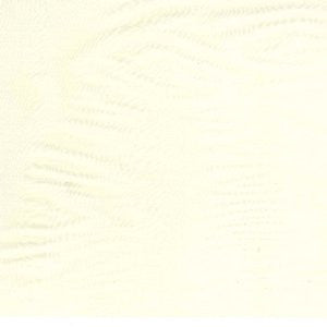 Almura Straw by Norbar Designer Fabric Color/NEUTRAL-NATURAL INDIA 8,000 WYZENBEEK 54 - Swanky Fabrics -