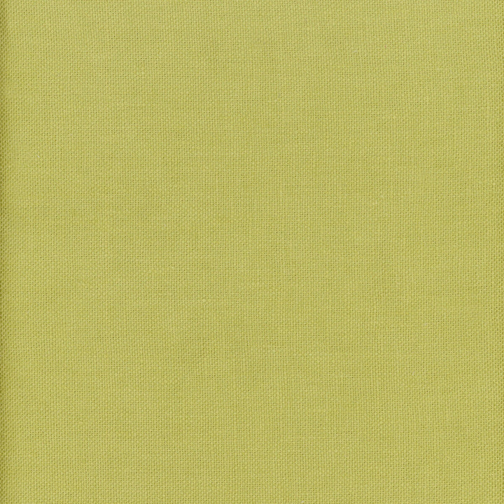 Beagle Lizard by Kravet Couture Designer Fabric ANDREW MARTIN BEAGLE LINEN - 100% China MEDIUM Horizontal: 0 and Vertical: 0 57 - Swanky Fabrics -