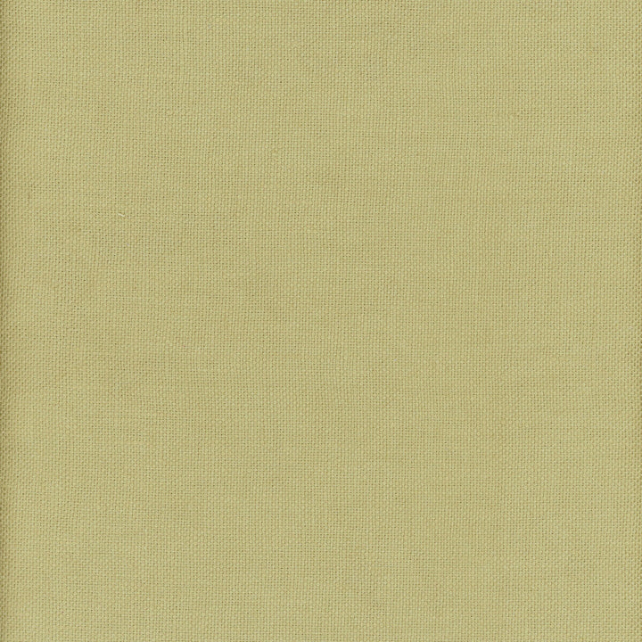 Beagle Firefly by Kravet Couture Designer Fabric ANDREW MARTIN BEAGLE LINEN - 100% China MEDIUM Horizontal: 0 and Vertical: 0 57 - Swanky Fabrics -