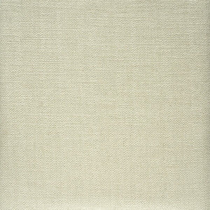 Albemarle String AM100376.1.0 By Kravet Couture Designer Fabric